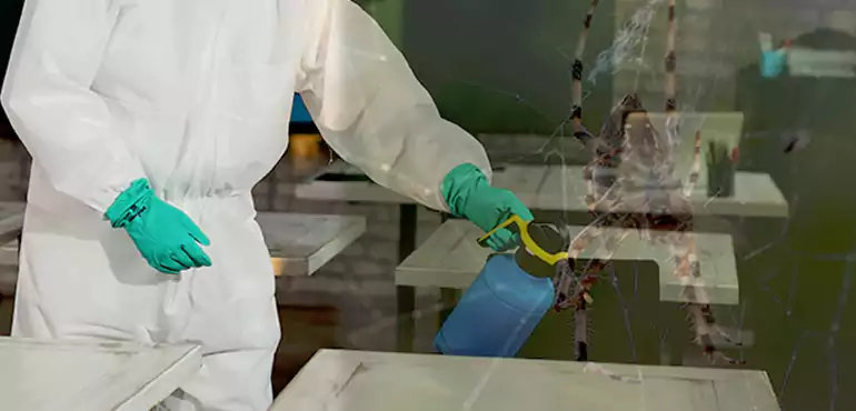 Why Buyers Still Want Homes With Pest Infestations in Dayton, OH?
