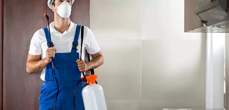 Why Dayton Homeowners Choose Us When Pests Make Selling Difficult